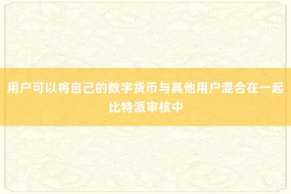 用户可以将自己的数字货币与其他用户混合在一起比特派审核中