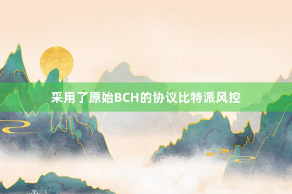 采用了原始BCH的协议比特派风控