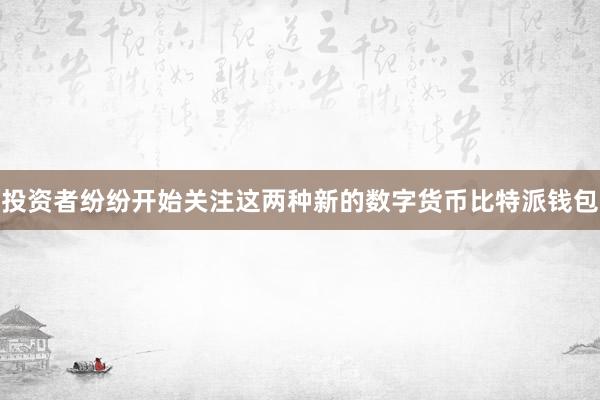 投资者纷纷开始关注这两种新的数字货币比特派钱包