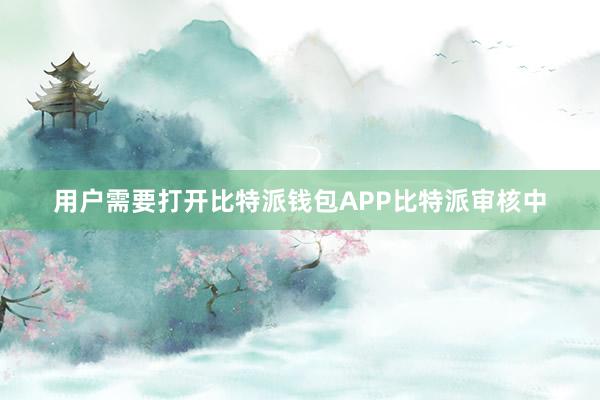 用户需要打开比特派钱包APP比特派审核中