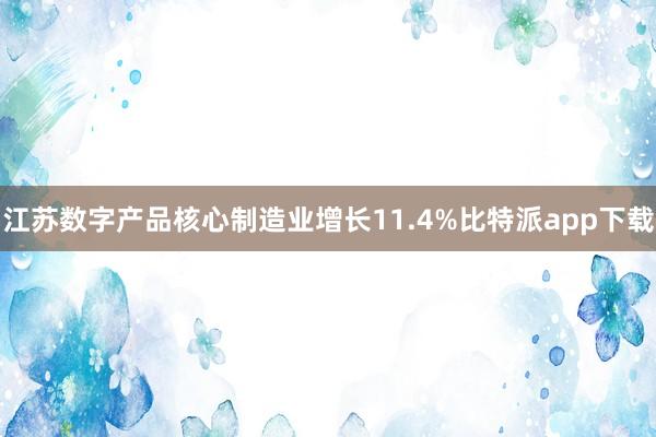 江苏数字产品核心制造业增长11.4%比特派app下载