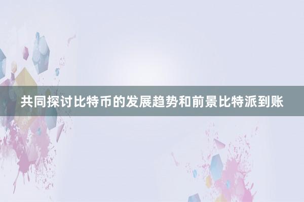 共同探讨比特币的发展趋势和前景比特派到账