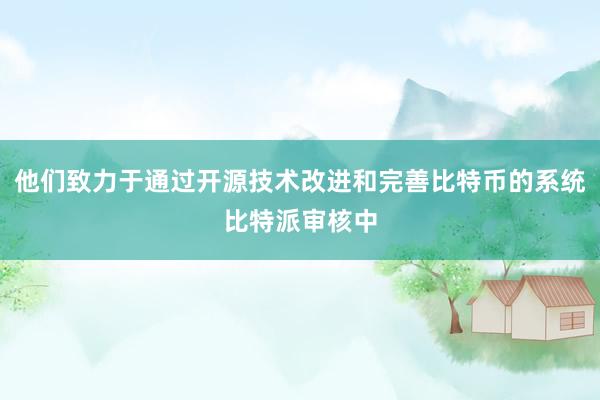 他们致力于通过开源技术改进和完善比特币的系统比特派审核中