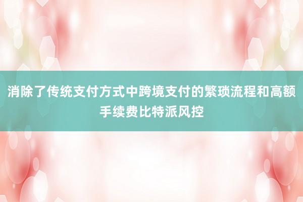 消除了传统支付方式中跨境支付的繁琐流程和高额手续费比特派风控