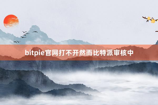 bitpie官网打不开然而比特派审核中