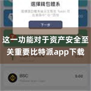 这一功能对于资产安全至关重要比特派app下载