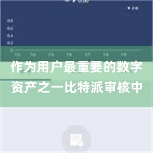 作为用户最重要的数字资产之一比特派审核中