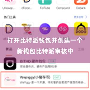 打开比特派钱包并创建一个新钱包比特派审核中