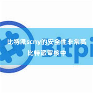 比特派scny的安全性非常高比特派审核中