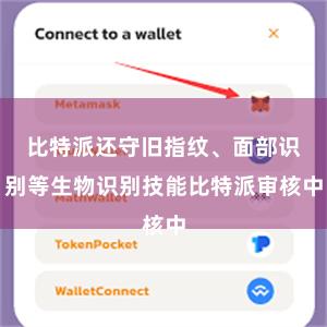 比特派还守旧指纹、面部识别等生物识别技能比特派审核中
